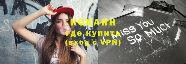 соль ск Алапаевск