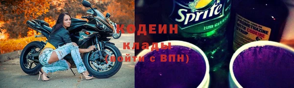 соль ск Алапаевск