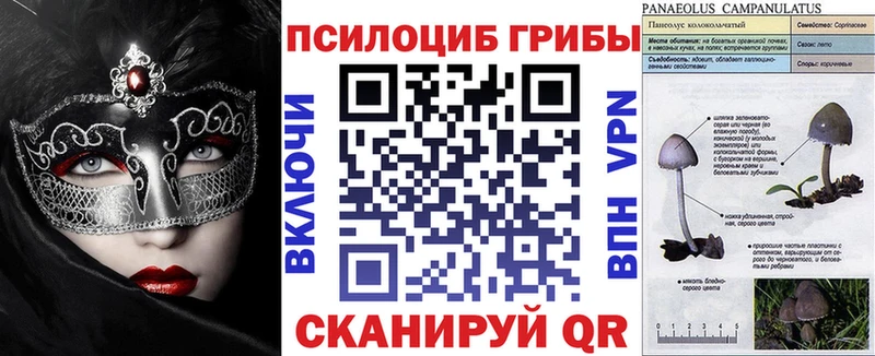 Купить  Пионерский  Псилоцибиновые грибы прущие грибы 